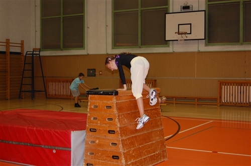 Obrázek v galerii